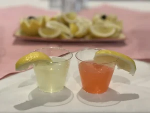 Two plastic cups, one filled with a yellow drink and the other pink, each garnished with a lemon wedge. Sliced lemons rest on a tray in the background, creating an artful scene reminiscent of vibrant brushstrokes and fresh blossoms.