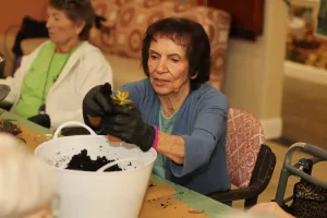 An elderly woman wearing gloves plants a small succulent in a pot at a table, with soil and tools nearby. Other seniors are seated around her, participating in the activity.
