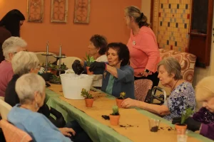 A group of elderly women sit around a table, potting small plants together, while two staff members assist in a communal indoor setting.