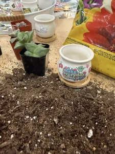 A succulent plant, potting soil, a decorative pot with “Make every day Earth day,” and a bag of soil are arranged on a table.
