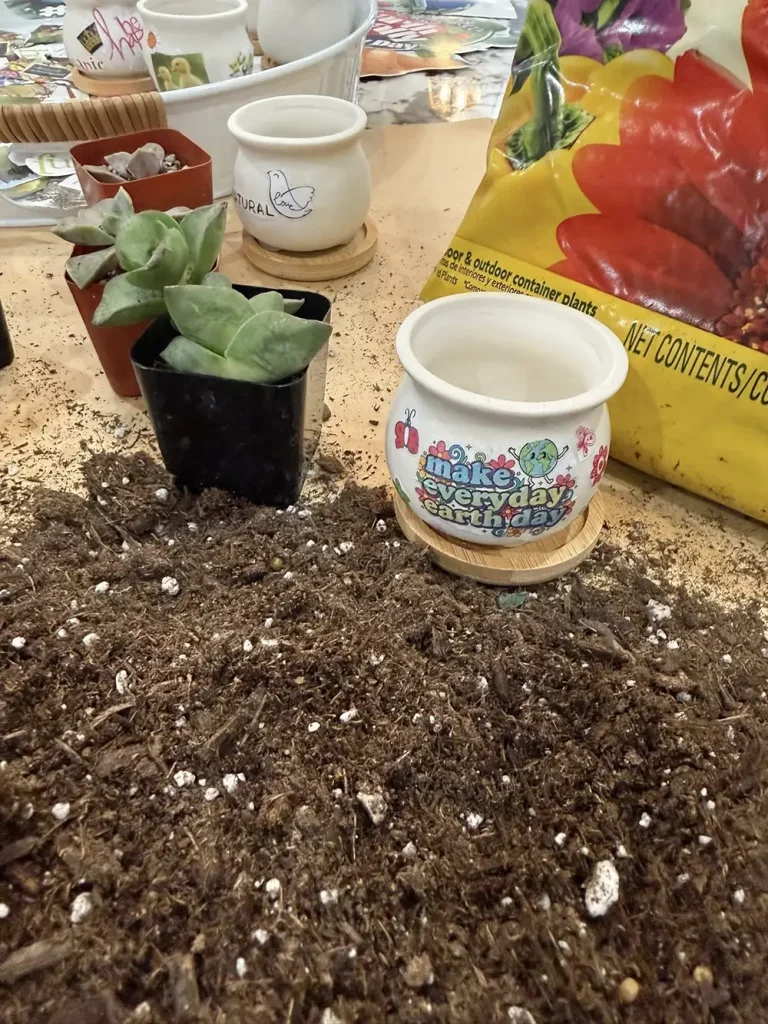 A succulent plant, potting soil, a decorative pot with &ldquo;Make every day Earth day,&rdquo; and a bag of soil are arranged on a table.
