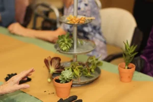 Three-tiered tray with assorted succulent cuttings and small pots on a table; several people sitting around, some hands visible.