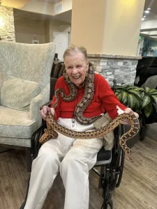 An elderly woman in a wheelchair smiles while holding a large exotic animal, with part of the snake draped around her neck during an exciting animal safari.