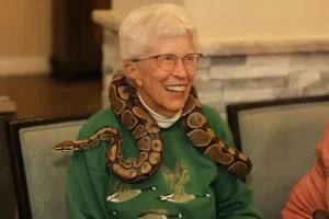 An elderly woman wearing a green sweatshirt with geese on it smiles broadly, enjoying her exotic animal encounter with a ball python draped around her neck and shoulders.