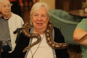 An elderly woman sits with a large snake draped around her shoulders, as if on an Exotic Animal Safari, while another older woman sits nearby in the background.