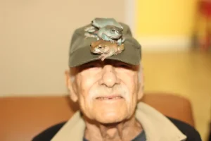 An elderly man wearing a cap with two exotic animals—frogs—perched on the brim and top, smiling slightly while indoors, as if reminiscing about an animal safari adventure.