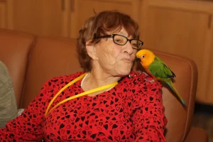An elderly woman in glasses and a red, heart-patterned shirt sits on a couch with an exotic animal—a colorful parrot—perched on her shoulder, facing her closely.