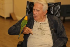 An elderly man in a wheelchair holds an exotic animal—a colorful parrot—on his hand and looks at it while wearing glasses around his neck.