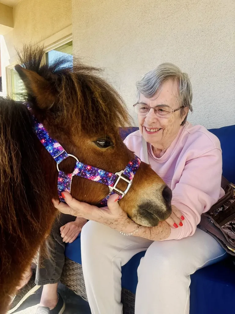 An elderly woman sitting on a couch at the Spring Market pets a small brown pony wearing a colorful halter.