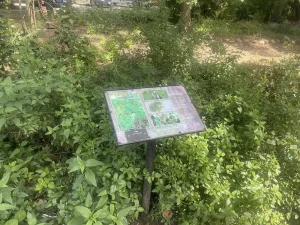 An informational sign stands among dense green foliage in a park, displaying text and images about local plants and encouraging garden mindfulness for visitors seeking meditation in gardens.