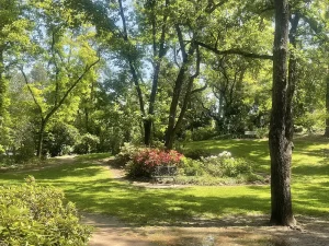 A sunlit park with green grass, tall trees, a bench, and flowering bushes in the center invites garden meditation—perfect for celebrating National Garden Meditation Day as paths wind peacefully through the area.