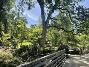 A wooden bridge crosses over a small stream in a park with large trees, green grass, and bright sunlight—an ideal spot for quiet reflection on National Garden Meditation Day.