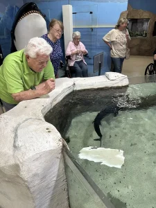 During a Wildlife Adventures outing at the Norcal Aquarium, four elderly women observe a small shark swimming in an indoor touch tank. One woman leans over the edge while the others watch nearby.