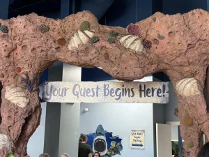 A decorative arch resembling coral with a sign that reads "Your Quest Begins Here!" stands above an entrance, inviting you to a Wildlife Adventures outing; a shark mural is visible in the background.