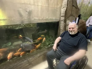 During a Wildlife Adventure outing at Norcal Aquarium, a man in a wheelchair sits beside a large tank filled with orange and black fish in an indoor setting.