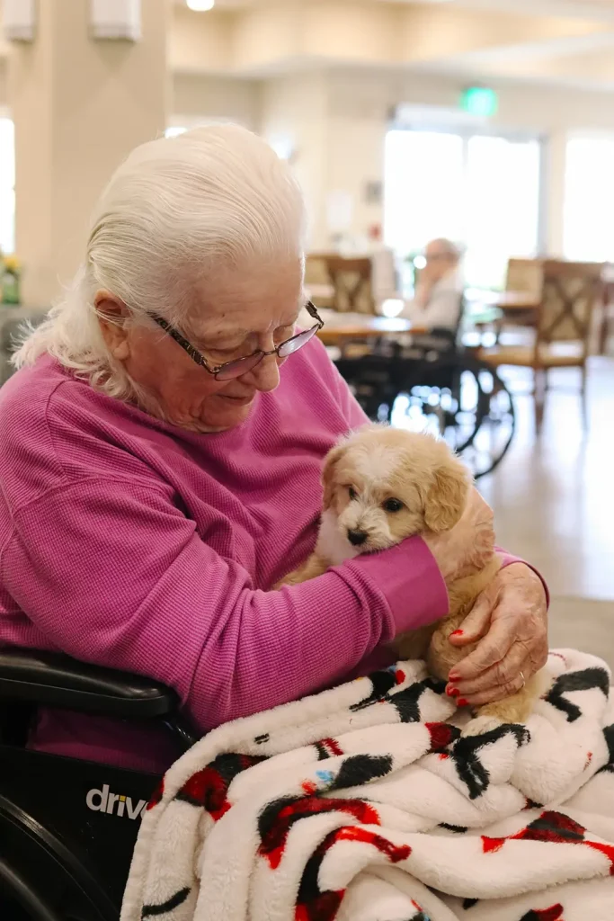 An elderly woman in a wheelchair cradles a small, fluffy doodle puppy from Ranch House Doodles in her arms, with a patterned blanket on her lap in a bright room.