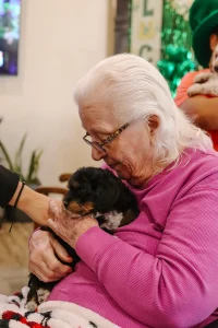 An elderly woman with white hair and glasses, wearing a pink top, sits and gently holds a small black and brown Doodle puppy in her arms, while another person reaches toward the adorable Ranch House Doodles pup.