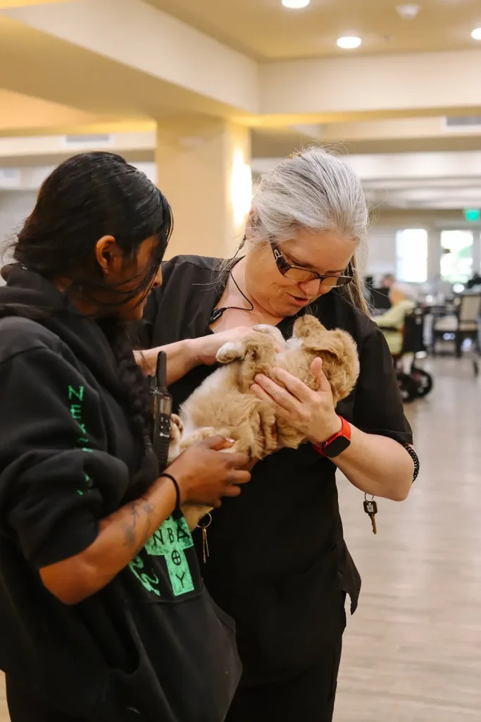 Two women stand indoors, one cradling a fluffy brown rabbit as they both admire it&mdash;much like proud doodle breeders showcasing their adorable Ranch House Doodles or playful doodle puppies.