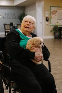 An elderly woman in a wheelchair holds a small beige Doodle puppy in her lap inside a room with tables, chairs, and a bulletin board—perhaps one of the adorable Ranch House Doodles.