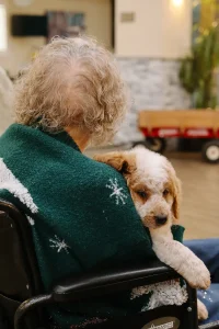 An elderly person in a wheelchair, seen from behind, holds a small brown and white Ranch House Doodles dog wrapped in a green blanket.