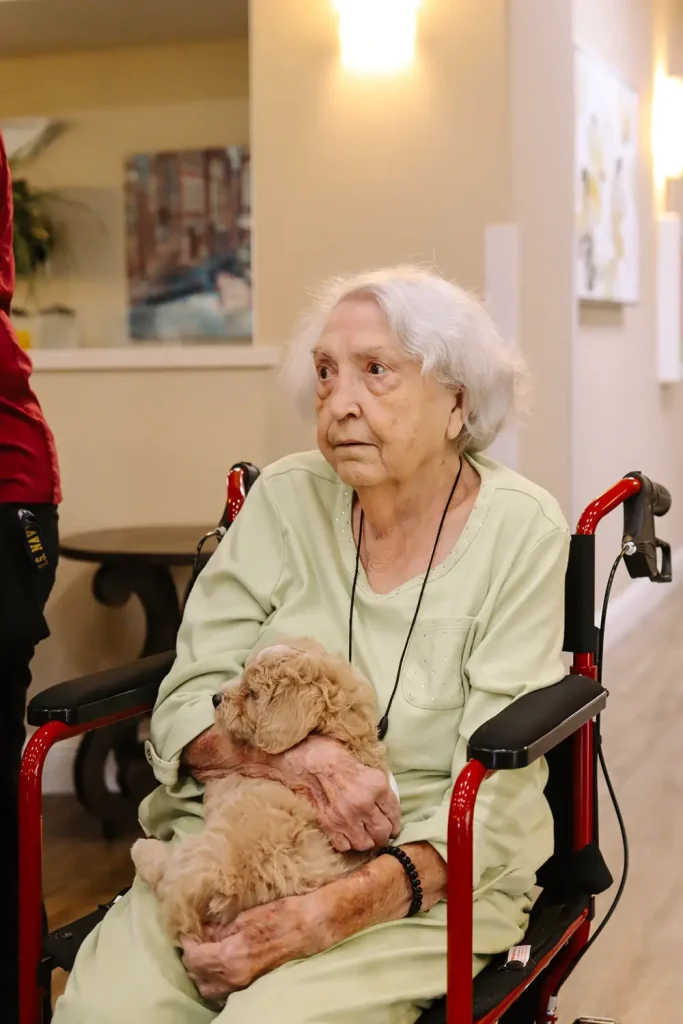 An elderly woman with white hair sits in a wheelchair, holding a small light brown doodle puppy in her lap, inside a well-lit room.