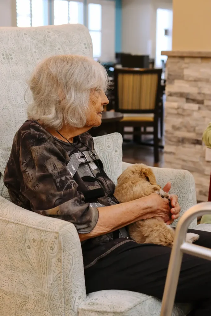 An elderly woman with gray hair sits in an armchair, holding a small Ranch House Doodles dog on her lap. A walker is positioned beside her.