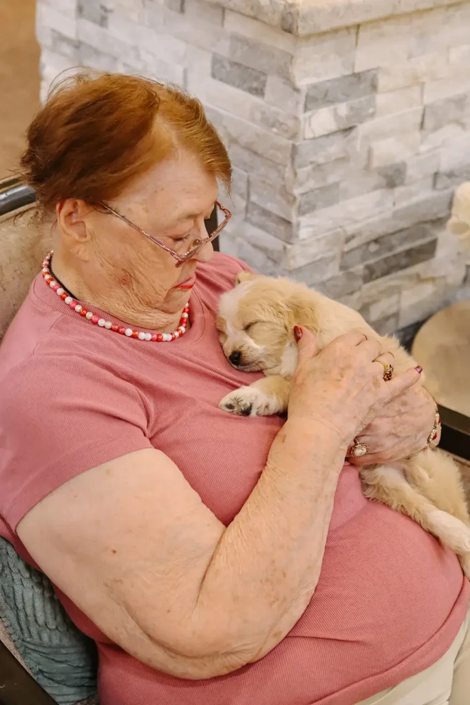 An older woman in a pink shirt and glasses holds a sleeping Doodle puppy against her chest while sitting indoors&mdash;one of the adorable companions raised with care at Ranch House Doodles.
