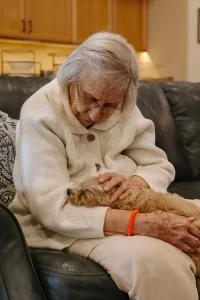 An elderly woman in a white sweater sits on a couch, gently petting a small Ranch House Doodles dog resting on her lap.