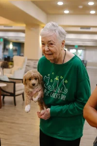 An elderly woman in a green St. Patrick's Day shirt holds a small brown and white Ranch House Doodles puppy indoors, with chairs and tables in the background.
