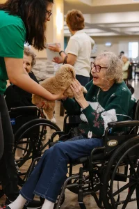 A caregiver helps an elderly woman in a wheelchair pet a small Ranch House Doodles dog during an indoor therapy session at a care facility.