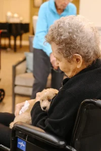 An elderly person in a wheelchair holds a small, light brown Doodle puppy in their arms. Another person stands in the background, highlighting the joy Ranch House Doodles brings to families.