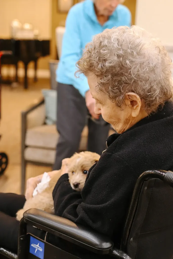 An elderly person in a wheelchair holds a small, light brown Doodle puppy in their arms. Another person stands in the background, highlighting the joy Ranch House Doodles brings to families.